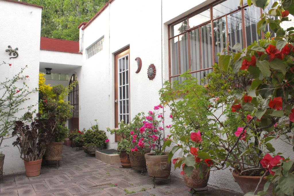 Ferienwohnung Corazoncito Coyoacan One Mexiko-Stadt Exterior foto