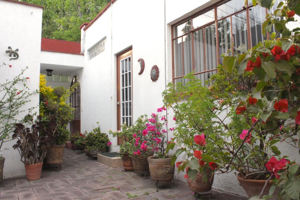 Corazoncito Coyoacan One Mexiko-Stadt Exterior foto